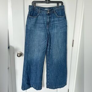 LOFT Palazzo Wide Leg Denim